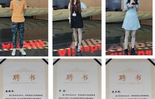 电子商务单招选什么专业
