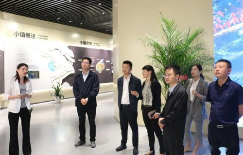 金山区专业性电子商务