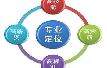 电子商务专业适应能力