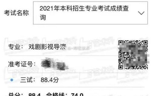 电子商务专业32岁考公