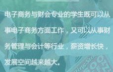 会计专业好还是电子商务