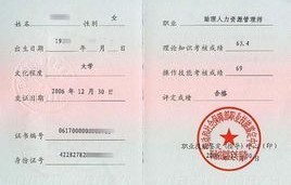 电子商务专业能考啥证