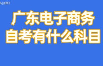 电子商务专业能考注会吗