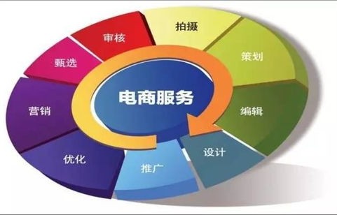 电子商务专业技术类工作