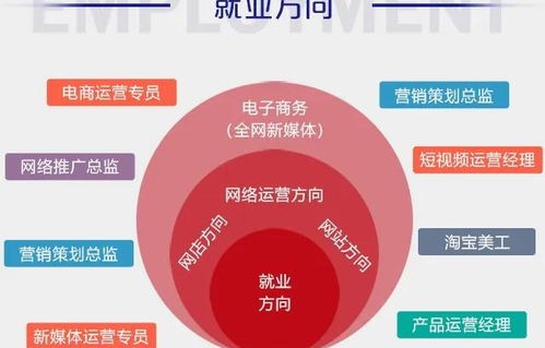 电子商务平台专业学什么