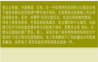 电子商务方向专业计划书