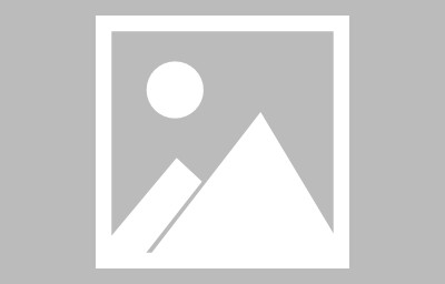 电子商务专业实训ppt报告