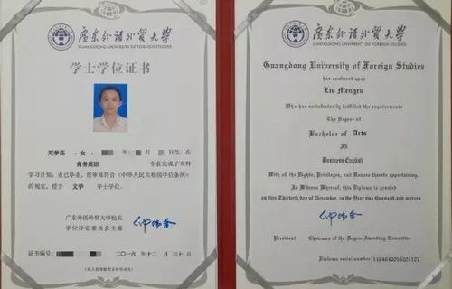 广东专业电子商务供应商