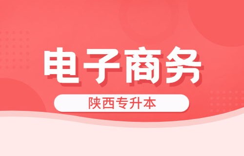 文史类专业有电子商务嘛