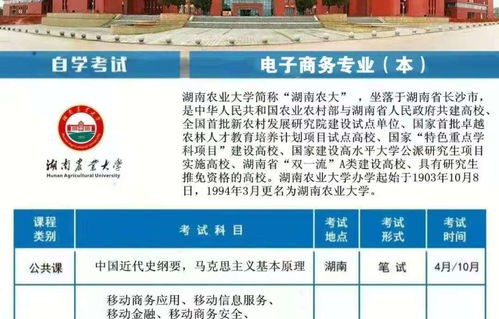 电子商务专业能考硕士吗