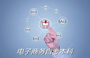 电子商务专业本科考试
