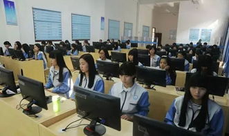 电子商务985专业好不好