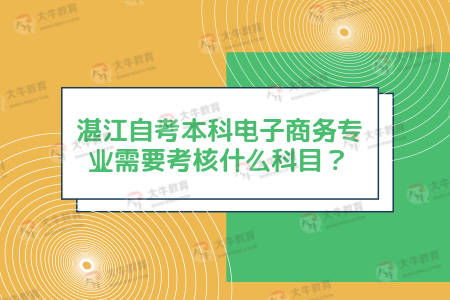 电子商务专业课考什么