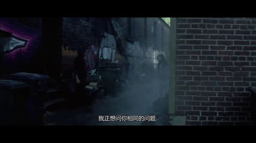 女巫的毒药全毒版，揭秘古老诅咒的神秘力量