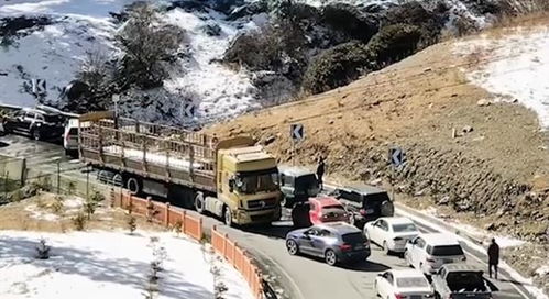 小车318川藏线上逆行被大货车逼退
